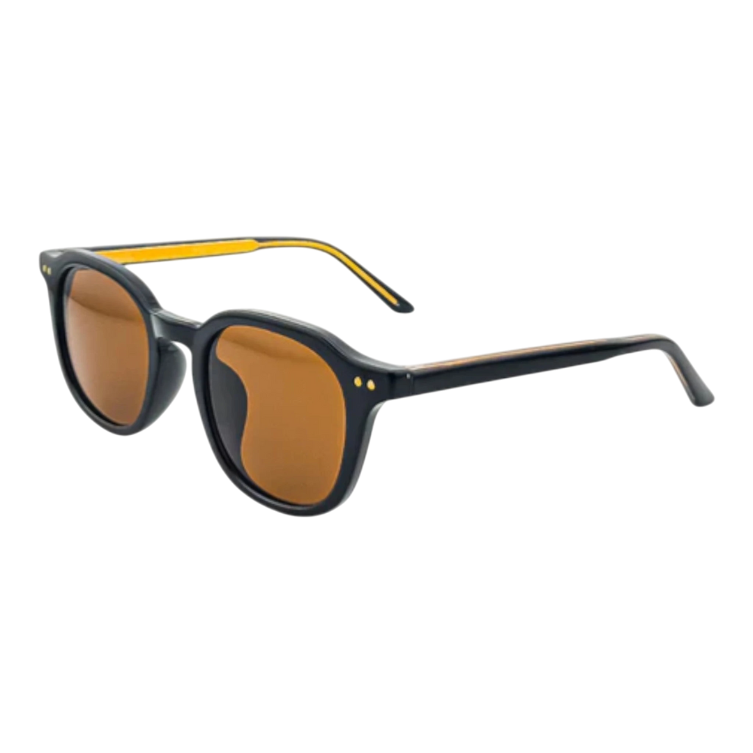 HypeSelection Ryoko RetroGlint sunglasses with black acetate frames, gold accents, and brown tinted lenses.