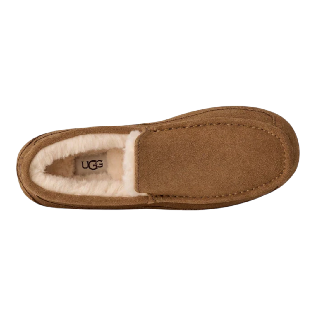 HypeSelection UGG Ascot men&