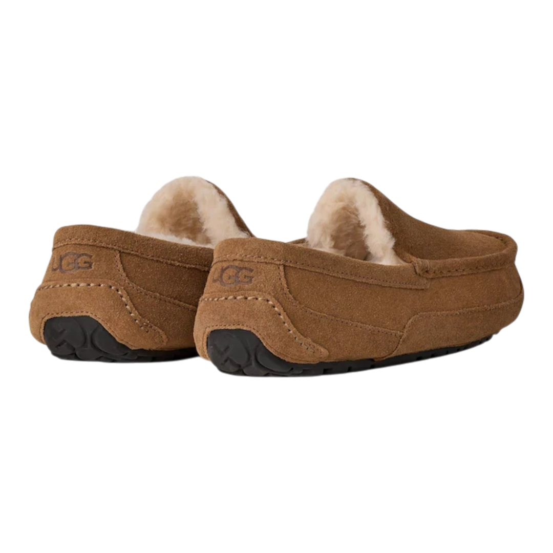 HypeSelection UGG Ascot slippers in light bronze suede with plush wool lining and moc-toe design, rear view