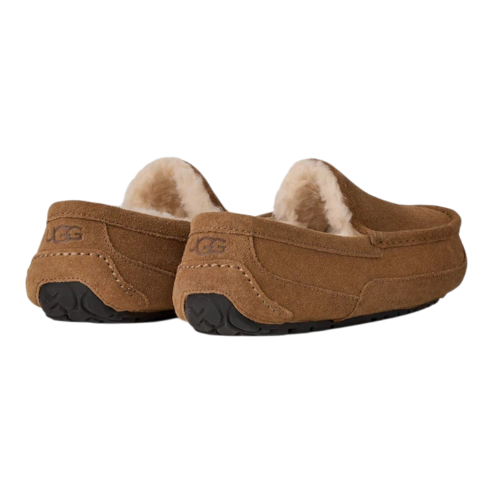 HypeSelection UGG Ascot slippers in light bronze suede with plush wool lining and moc-toe design, rear view