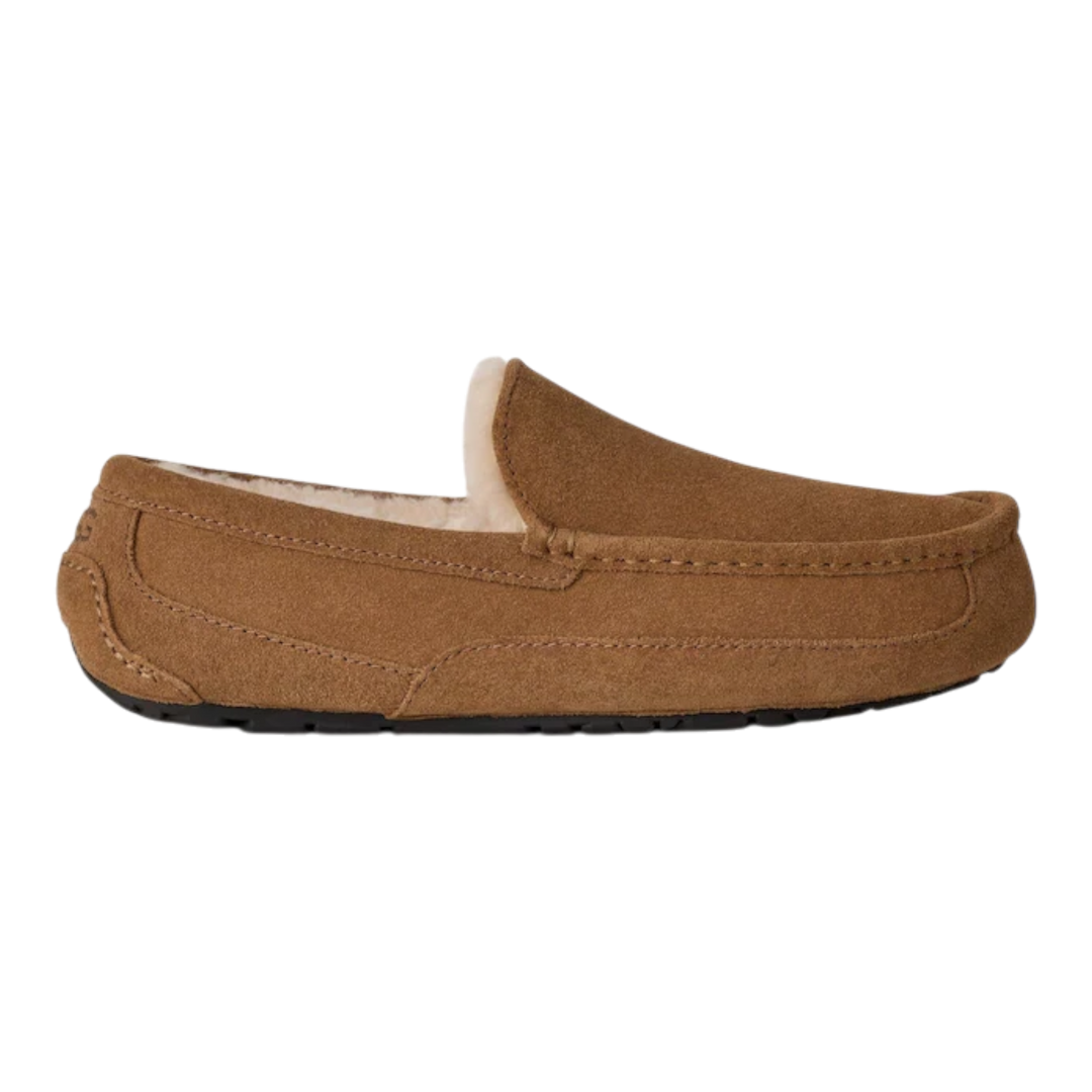 HypeSelection UGG Ascot slipper in light bronze suede with moc-toe design and plush wool-blend lining
