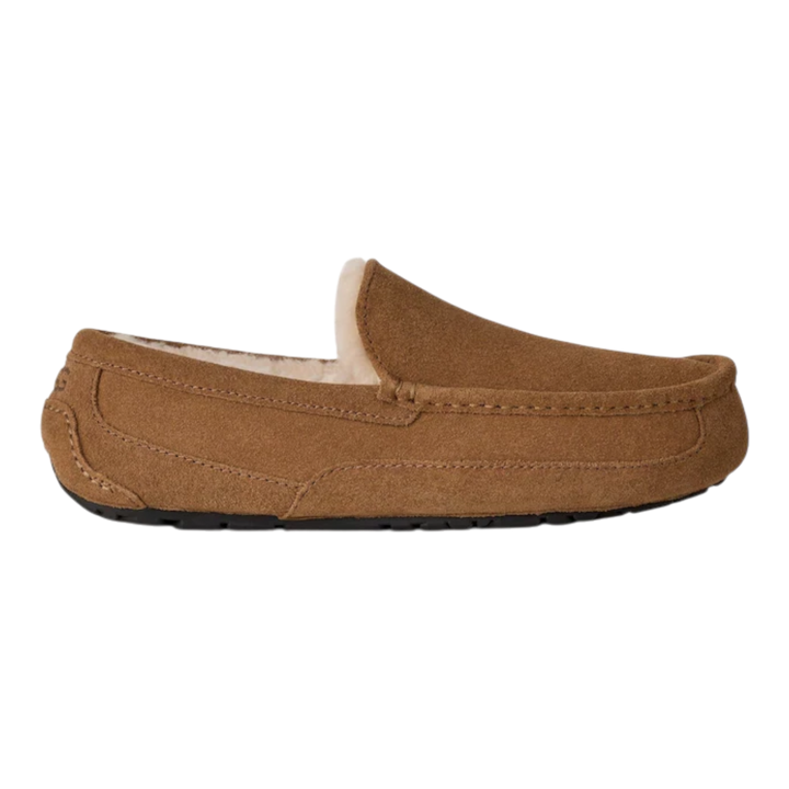 HypeSelection UGG Ascot slipper in light bronze suede with moc-toe design and plush wool-blend lining
