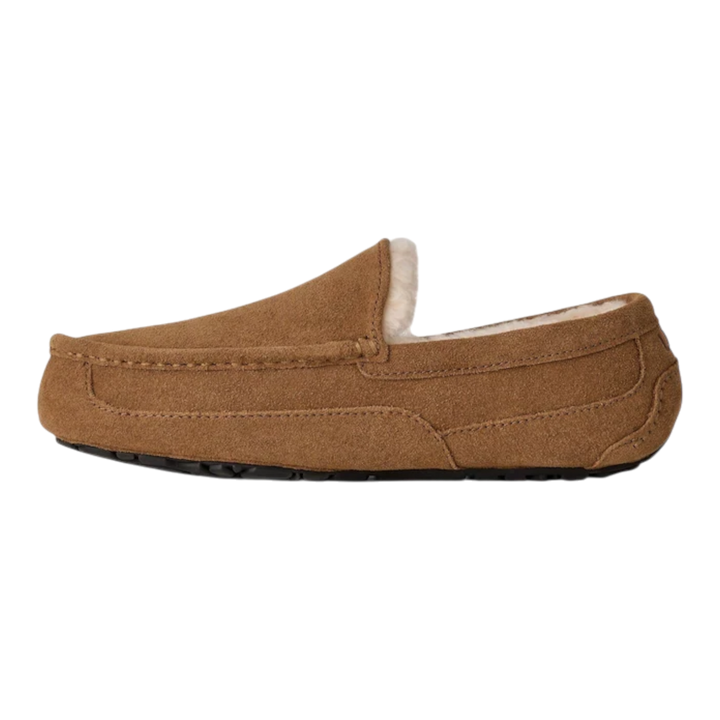HypeSelection UGG Ascot slipper in light bronze suede with moc-toe silhouette and plush wool-blend lining